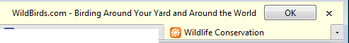 Adding Cluster Tab